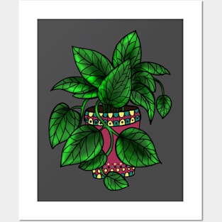 Monstera Dubia Posters and Art